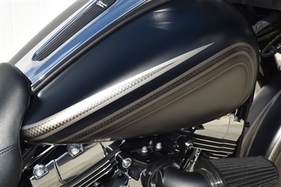 BLACK PRO FORCE AIR CLEANER BAGGERS